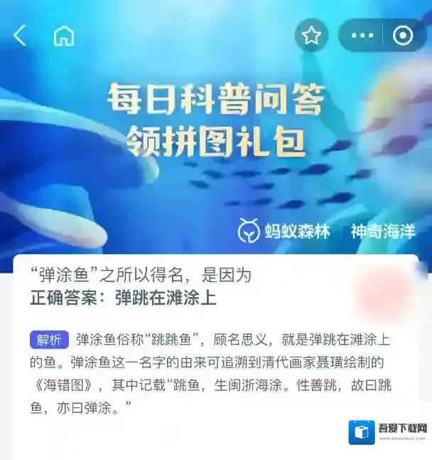支付宝滩涂
