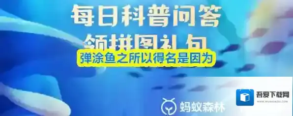 弹涂鱼之所以得名是因为