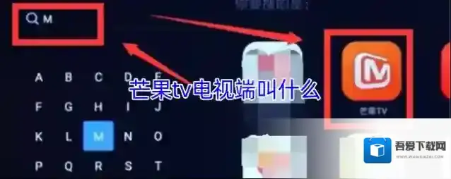 芒果tv电视端叫什么