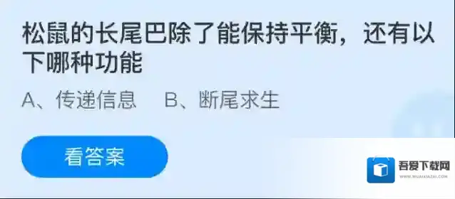 松鼠的长尾巴除了能保持平衡，还有以下哪种功能