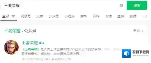 王者荣耀利雅得