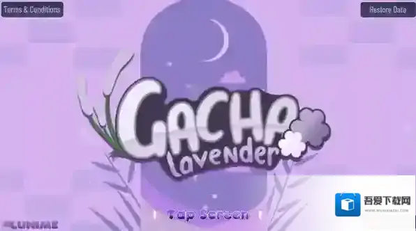 加查薰衣草薰衣草