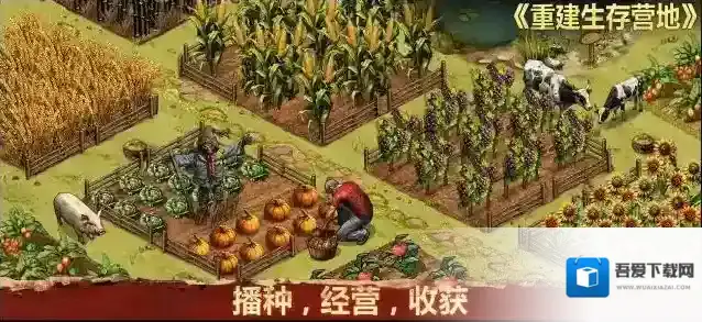 重建生存营地营地