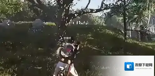 七日世界苹果怎么