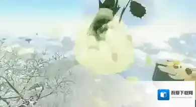 塞尔达传说王国之泪蒲公英