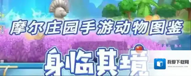 摩尔庄园手游动物图鉴大全