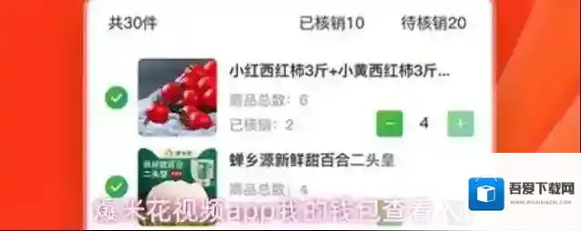 爆米花视频app我的钱包查看入口