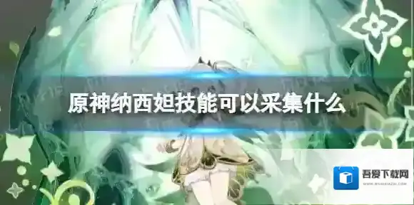 原神纳西妲技能可以采集什么 原神纳西妲可采集材料一览