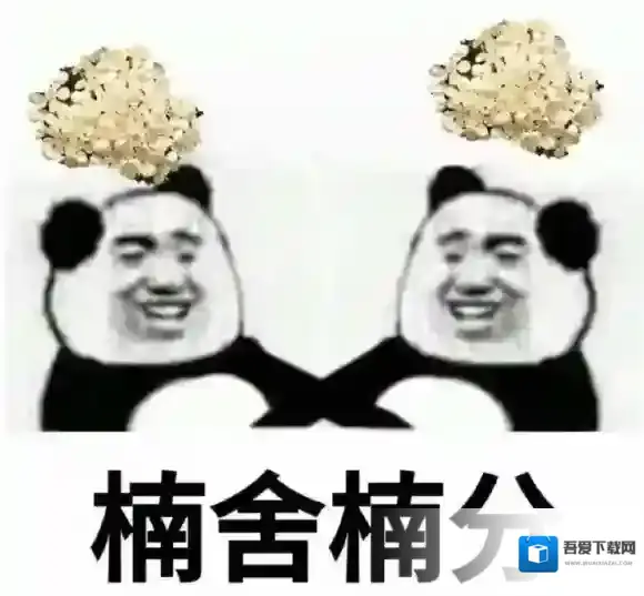 梗百科石楠