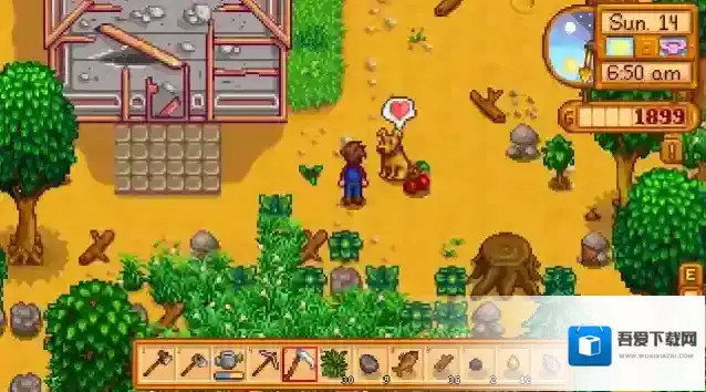 星露谷物语动物好感度怎么看 怎么查看动物好感度