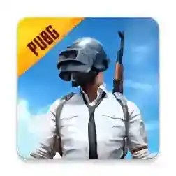 和平精英国际服体验服官方正版