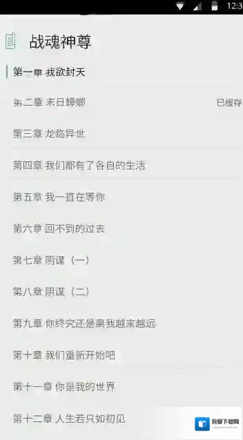 《鸿雁传书》无法打开原因分析说明