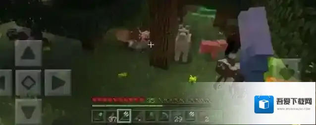 我的世界动物大全解析