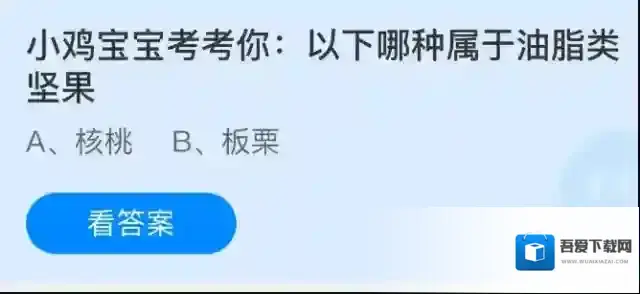 小鸡宝宝考考你：以下哪种属于油脂类坚果