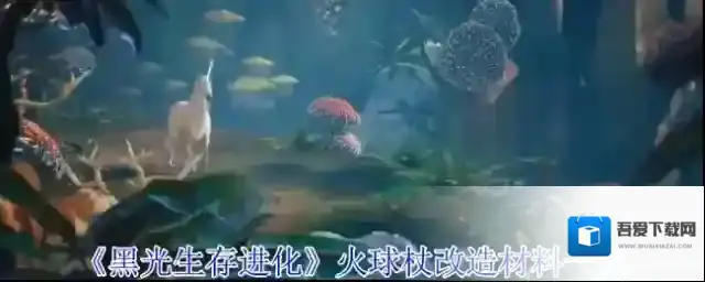 黑光生存进化改造