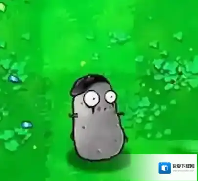 植物大战僵尸2植物大战僵尸