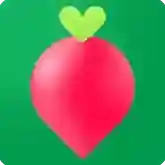 叮咚买菜叮咚买菜