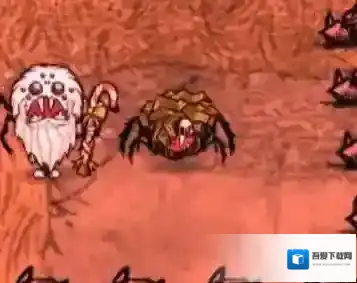 饥荒蜘蛛能戴帽子吗