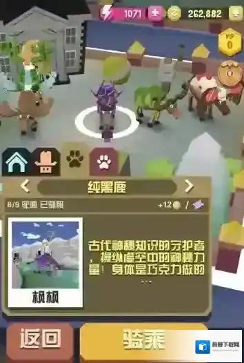 疯狂动物园探索