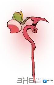 闹闹天宫申公豹法宝怎么搭配 最强出装推荐