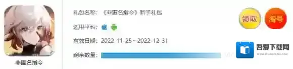 非匿名指令指令