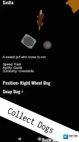 雪橇犬的生活雪橇犬