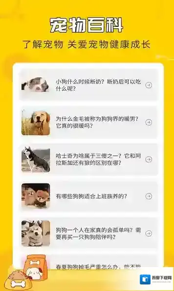 人狗翻译神器狗狗