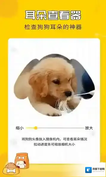 人狗翻译神器宠物