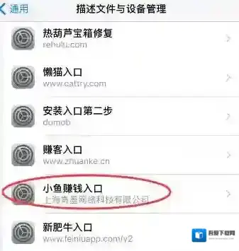 豆豆趣玩小伙伴