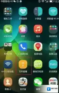 爱奇艺视频视频文件