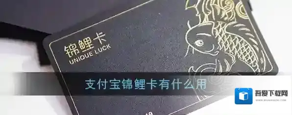 《支付宝》锦鲤卡功能作用介绍