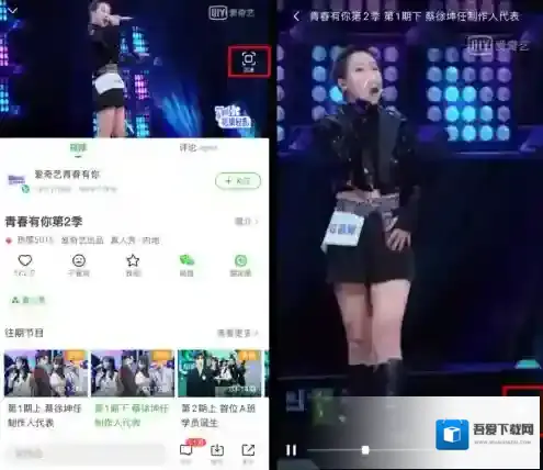 爱奇艺视频用户