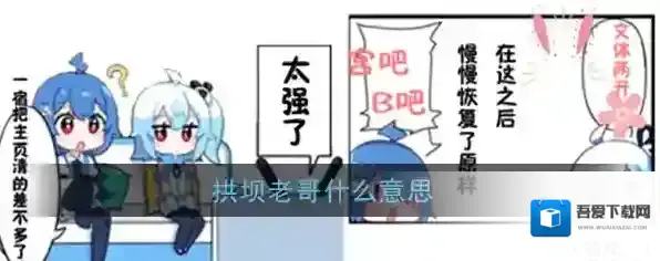 拱坝老哥什么意思