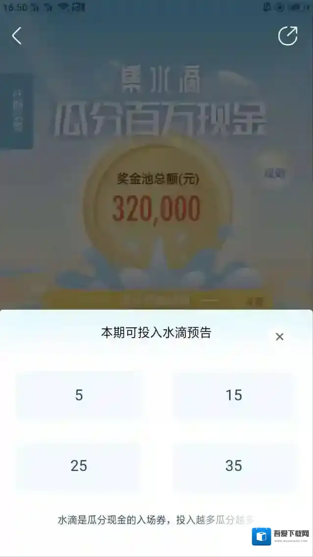新浪绿洲绿洲