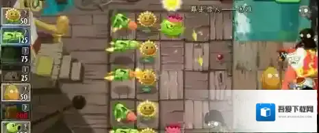 植物大战僵尸植物