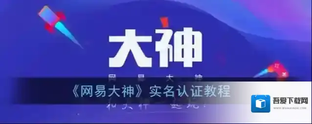 网易大神实名认证