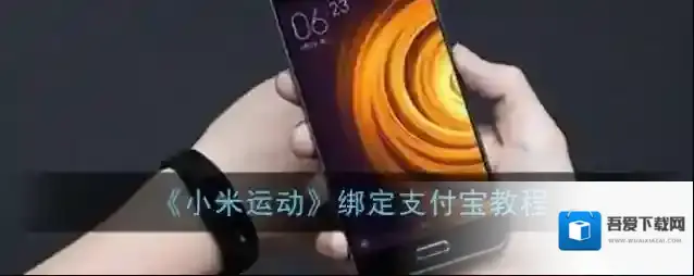 小米运动支付宝