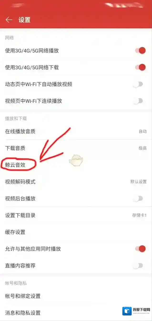 网易云音乐这两个