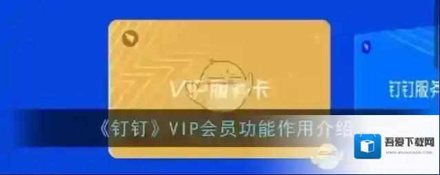 《钉钉》VIP会员功能作用介绍