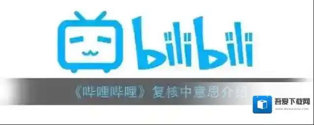 《哔哩哔哩》复核中意思介绍