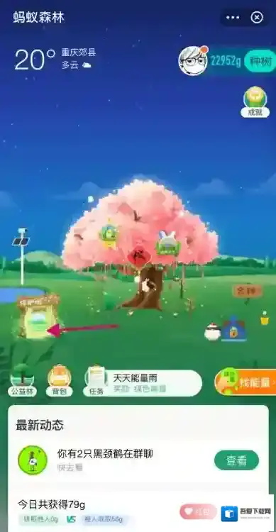 支付宝蚂蚁森林