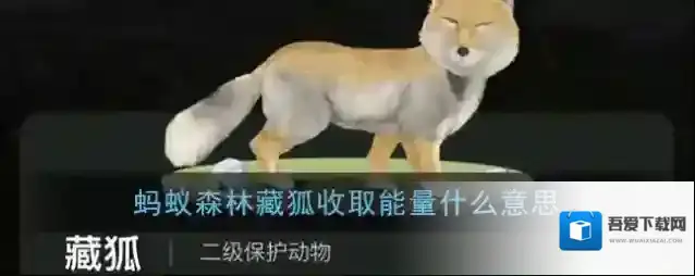 《支付宝》蚂蚁森林藏狐收取能量意思介绍