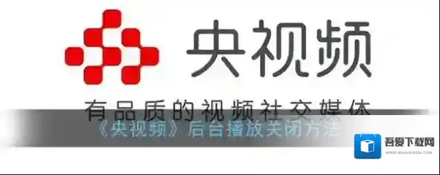 央视频后台播放