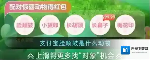 《支付宝》脸颊鼓是什么动物