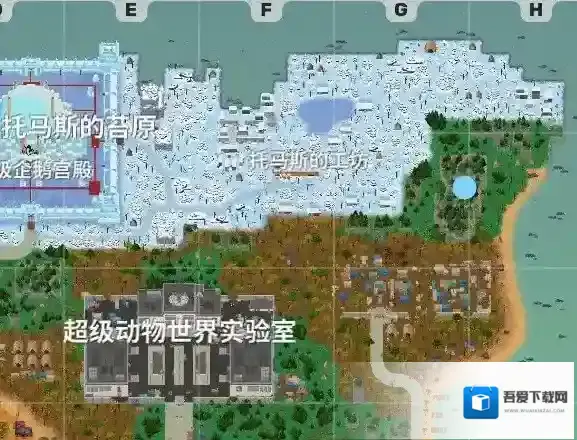 小动物之星中文版就能