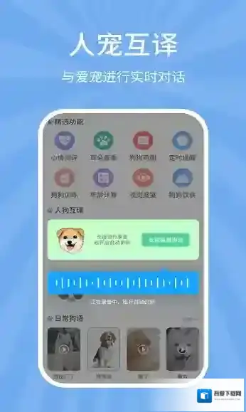 狗猫翻译器交流