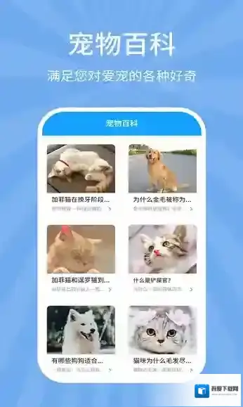 狗猫翻译器爱宠