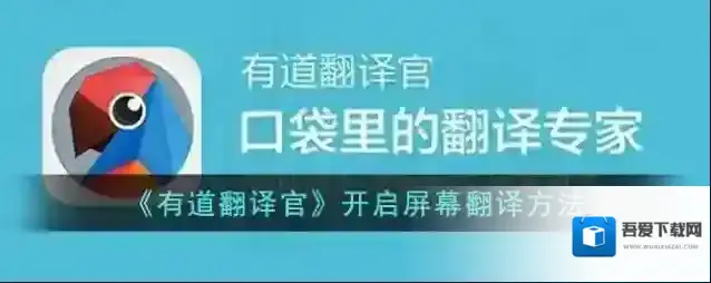 有道翻译官屏幕翻译