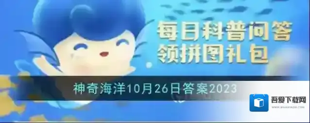 白鲸的头部有个圆形的凸起猜猜有什么用