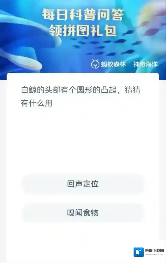 支付宝白鲸